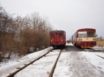 S rosničkou do Třemošnice a Loun 24.1.2009 