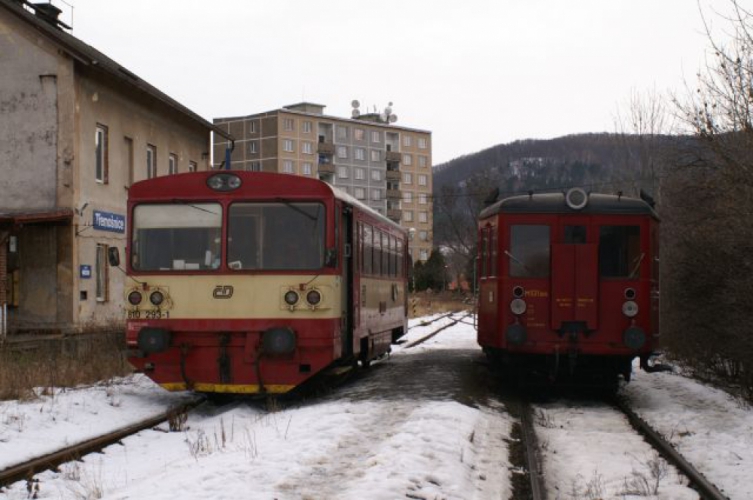  S rosničkou do Třemošnice a Loun 24.1.2009